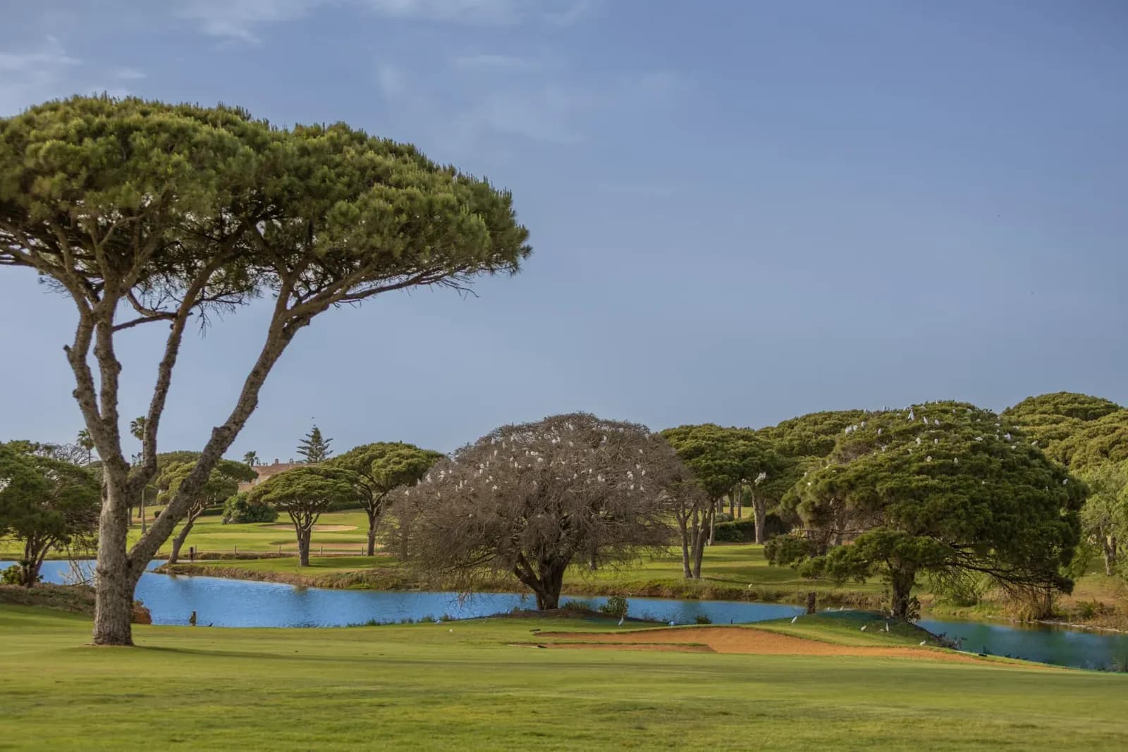 Real Novo Sancti Petri Golf Club, Cádiz, Andalucía (2/3)
