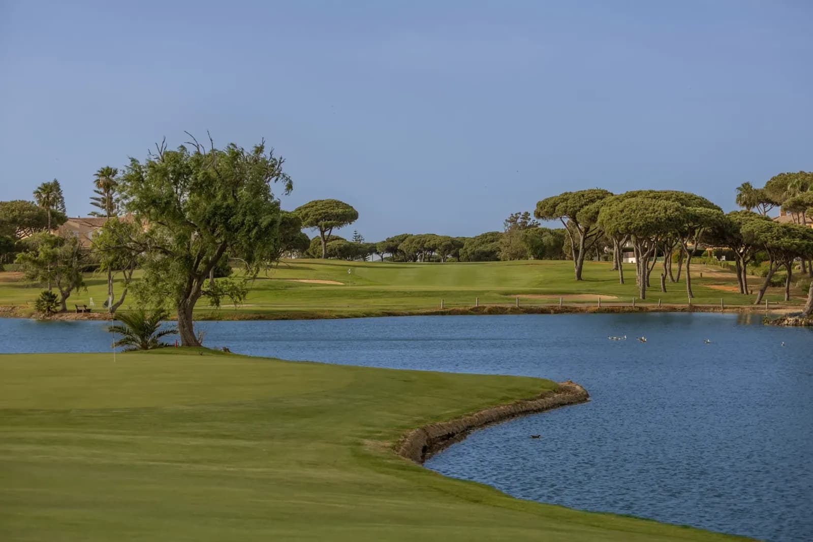 Real Novo Sancti Petri Golf Club, Cádiz, Andalucía (3/3)